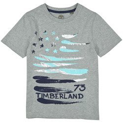 TIMBERLAND T-shirt chłopięcy szary z błękitnym nadrukiem